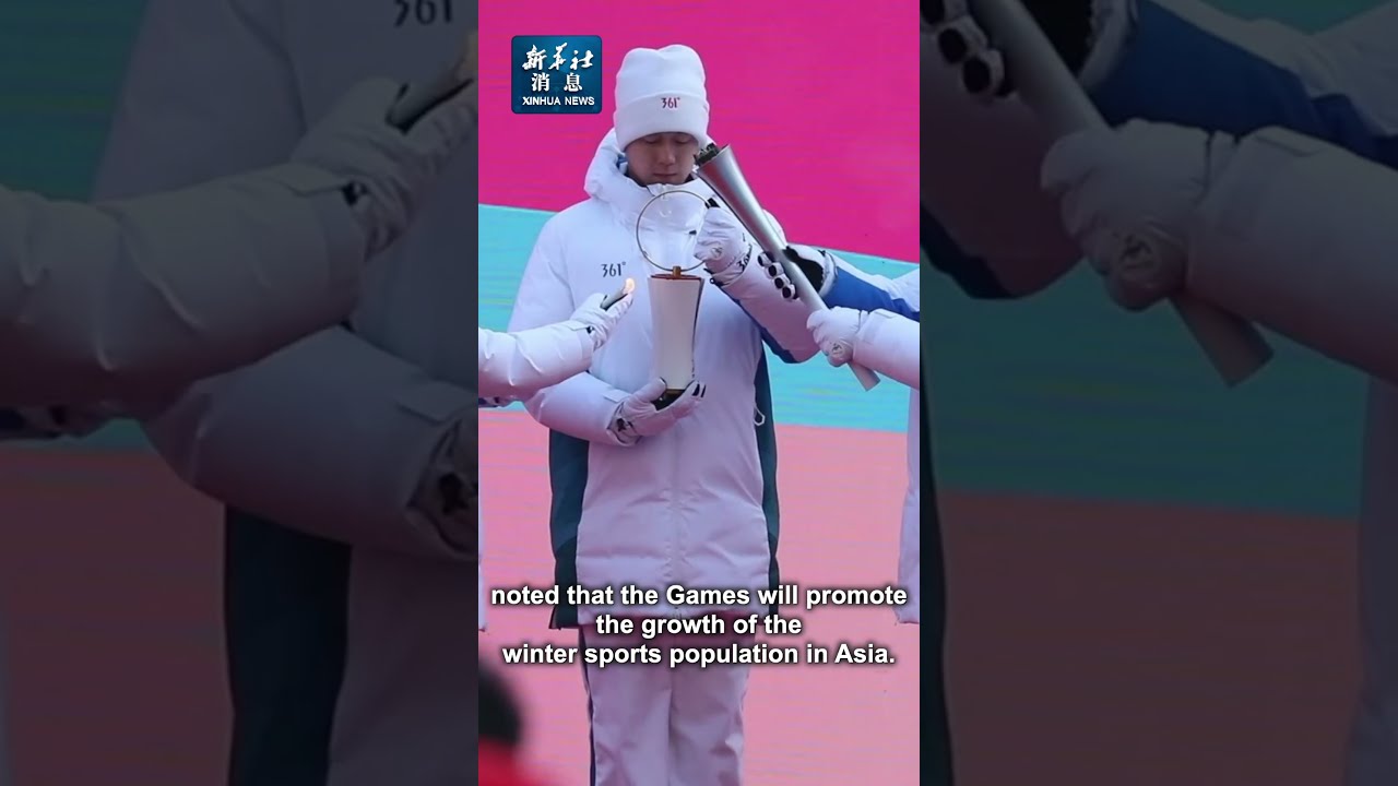 李楠教练表