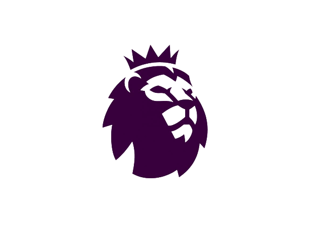 泰山隊來說